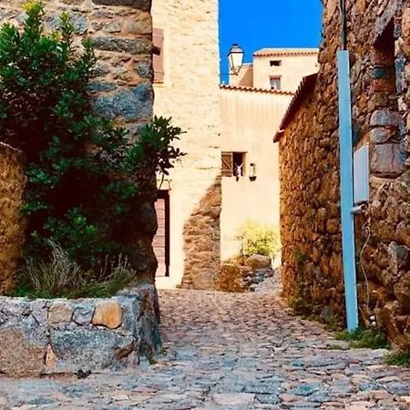 Studio Lumineux A Calvi Au Bord De Mer Calvi (Corsica)